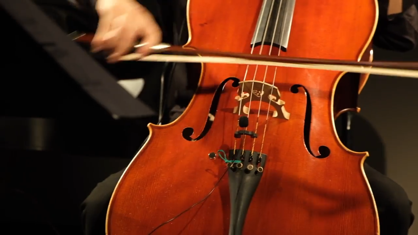 Fotografía de ViolonCyborg